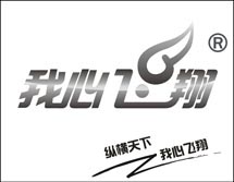 我心飞翔 &nbsp;12类