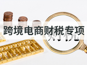 跨境电商财税专项
