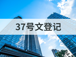 37号文登记