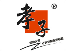 孝子 29类