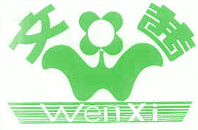 文茜 &nbsp;25类